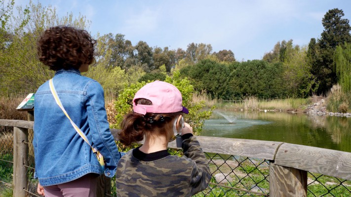 İzmir'in Doğal Yaşam Parkı Sasalı