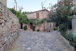 2021-07-04-it-cunda-adasi-09