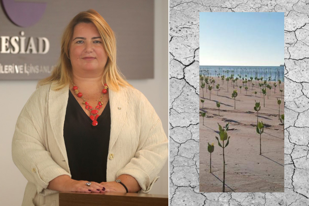 Sibel Zorlu: İklim Kanunu bir an önce çıkmalı