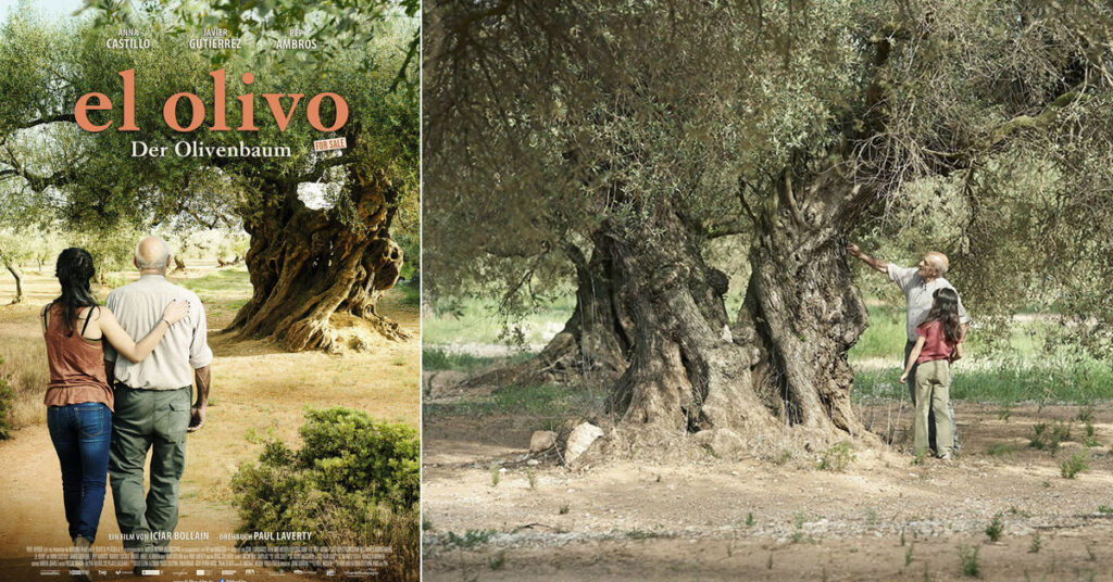 El Olivo zeytin hasat festivallerinde mutlaka açılış filmi olmalı...