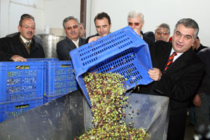Türkiye 12 milyon 37 bin dolarlık zeytin ihraç etti