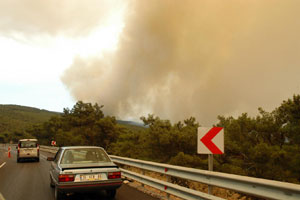 Sabuncubeli bölgesinde orman yangını