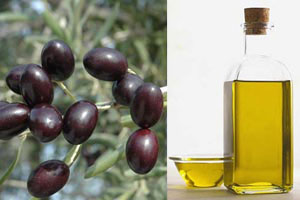 Zeytin ve zeytinyağı ihracatçıları ABD pazarını hedefliyor 