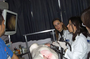 Türkiye’de ilk kez domuz üzerinde endoskopik ameliyatlar yapıldı