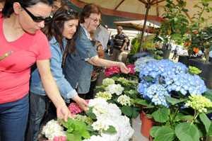 Karşıyaka Çiçek Festivali başladı