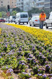 Büyükşehir kenti çiçeklendirmeyi sürdürüyor