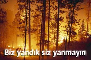 Seferihisar Belediyesi: Biz yandık siz yanmayın!