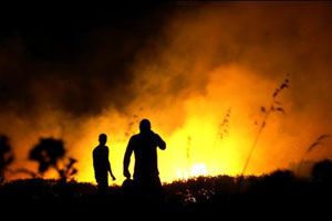 Orman yangınlarına karşı iki ülke ortak hareket etmeli