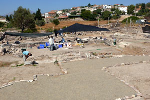 Erythrai kazıları iki ayrı bölgede devam ediyor