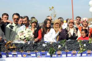 Efemçukuru’nda "Organik Üzüm Festivali” düzenlenecek