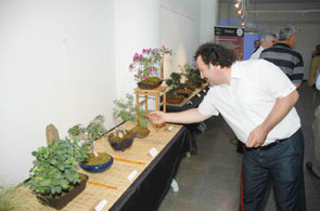 Karşıyaka'da bonsai sergisi ilgi gördü