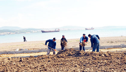 Aliağa'da bu yaz plaj keyfi bir başka olacak