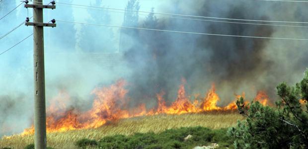 Şiddetli lodos orman yangınlarına neden oldu