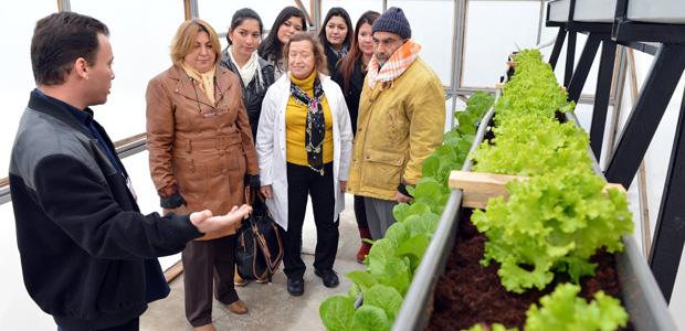 Büyükşehir'den topraksız tarım kursu