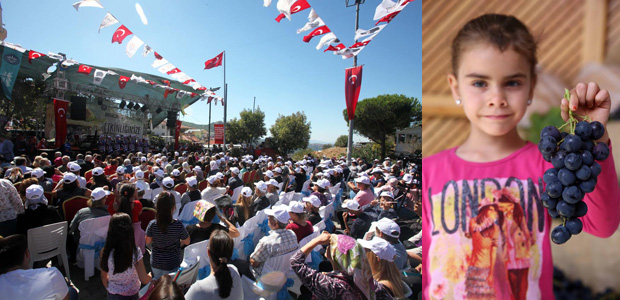 Kavacık üzümleri ödüllendirildi