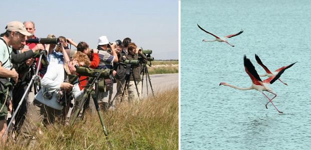 Kuş Cenneti’nde “Foto Safari” zamanı