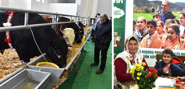 12. Agroexpo Fuarı, tarım ve hayvancılık sektörünü buluşturdu