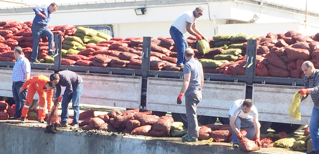 İzmir’de 24 ton kaçak midyeye el konuldu