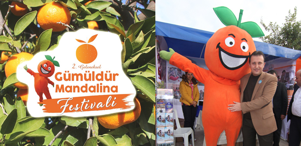 Gümüldür’de Mandalina Festivali
