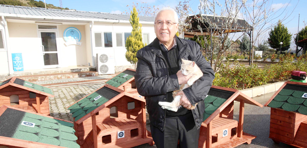 Karabağlar’da sokak kedilerine kalıcı yuva