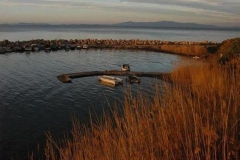 Akşam Üstü [Fotoğraf : Aykut Fırat]