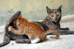 Beslenme Saati [Fotoğraf : Turan Gültekin]