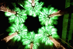 Işıklandırılmış palmiyelerin gece görkemli görüntüsü... [Fotoğraf : Lokman Dağ]