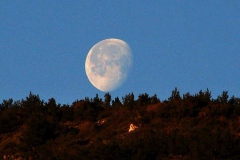 Ay... (Fotoğraf : Aykut Fırat)