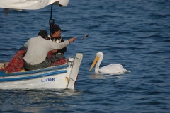 Dost balıkçılar... (Fotoğraf : Aykut Fırat)