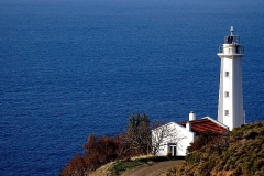 Görkemli yalnızlık... (Fotoğraf : Aykut Fırat)