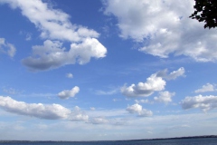 [Mevsim dönüyor, hava bulutlanıyor... Fotoğraf : Saadet Erciyas]