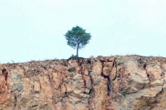 [Tutunmak... Fotoğraf : Selahattin Çelik]