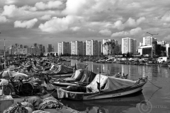 [İzmir İzmir... Fotoğraf : Mehmet Yasa]