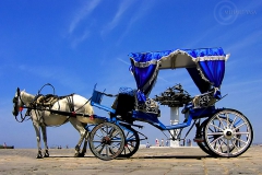 [İzmir İzmir... Fotoğraf : Mehmet Yasa]