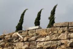 [Bergama, Zeus Tapınağı... Fotoğraf : Aykut Fırat]
