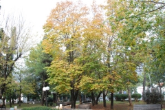 [Adriyatik'te Sonbahar... Fotoğraf: Hüseyin Erciyas]