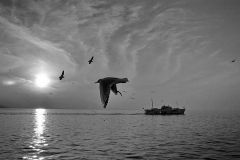 [Körfez'de gün batımı... Fotoğraf: Aykut Fırat]