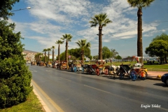 [Karşıyaka'da faytonlar... Fotoğraf: Engin Yıldız]