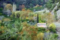 [Vadide renk cümbüşü... Fotoğraf: Hüseyin Erciyas]