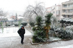 [İzmir'e kar yağdı... Fotoğraf: Saadet Erciyas]