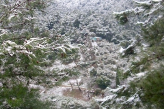 [Termal vadi karlar altında... Fotoğraf: Hüseyin Erciyas]