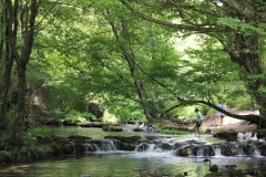 [Serin ve yeşil... Fotoğraf: Hüseyin Erciyas]