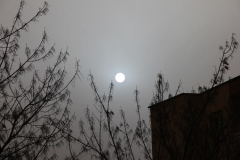 Rüzgar, toz ve güneş... [Fotoğraf: Hüseyin Erciyas]