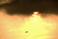 (Fotoğraf: Esat Erçetingöz)