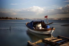 Sığınma... Fotoğraf: Atilla Özdemir...