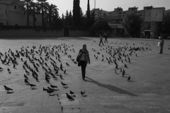 Fotoğraf: Atilla Özdemir...