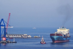 "Beni rıhtıma yanaştır" (Fotoğraf: Atilla Özdemir)