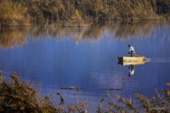Dingin sularda sakin sakin, aheste (Fotoğraf: Nilgün Özdemir)