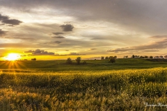 İzmir... Fotoğraf: Feridun Karagözlü