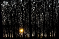 Gün batımına doğru... Fotoğraf: Turan Gültekin